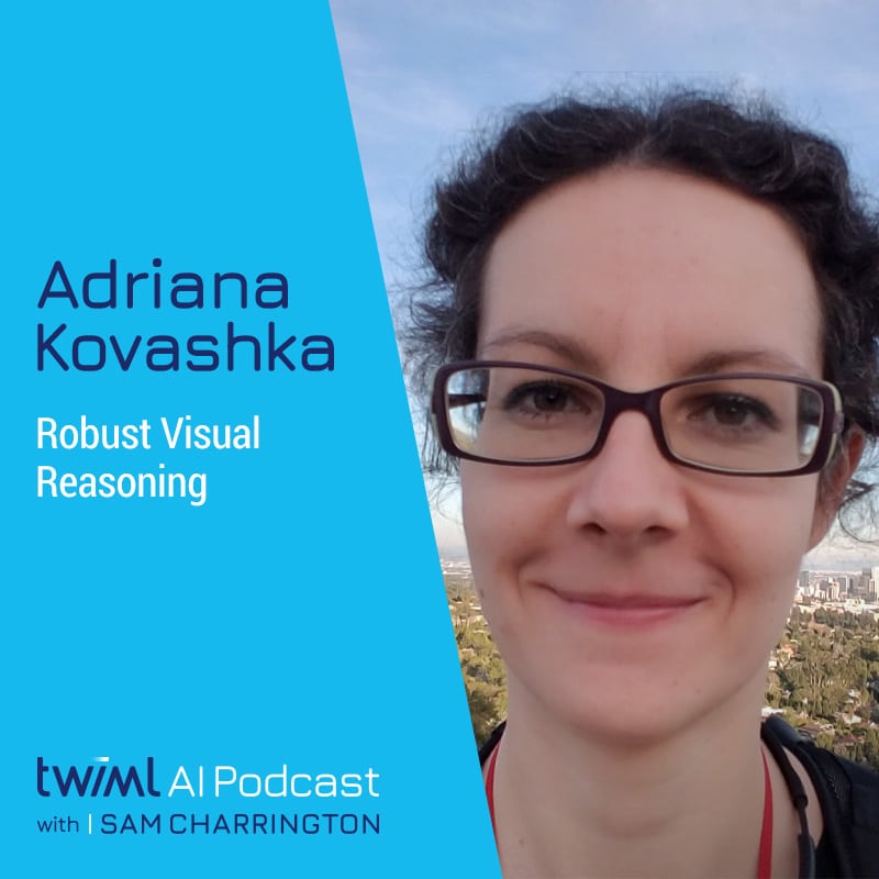 Cover Image: Adriana Kovashka - Podcast Interview